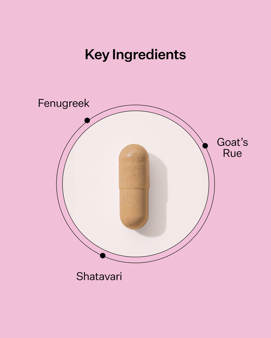 Milk Maker one-a-day lactation capsule with key natural ingredients fenugreek, goat's rue and shatavari for breast milk supply support